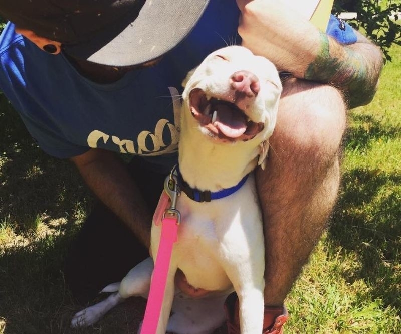 A Happy Pit