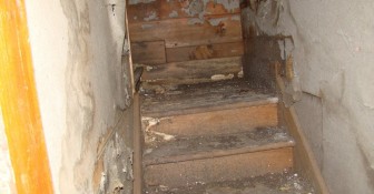 The Staircase