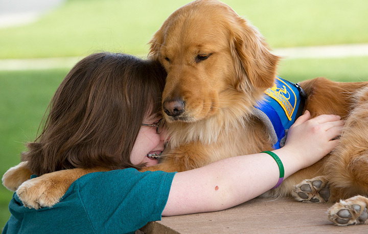 The Perfect Therapy Dog