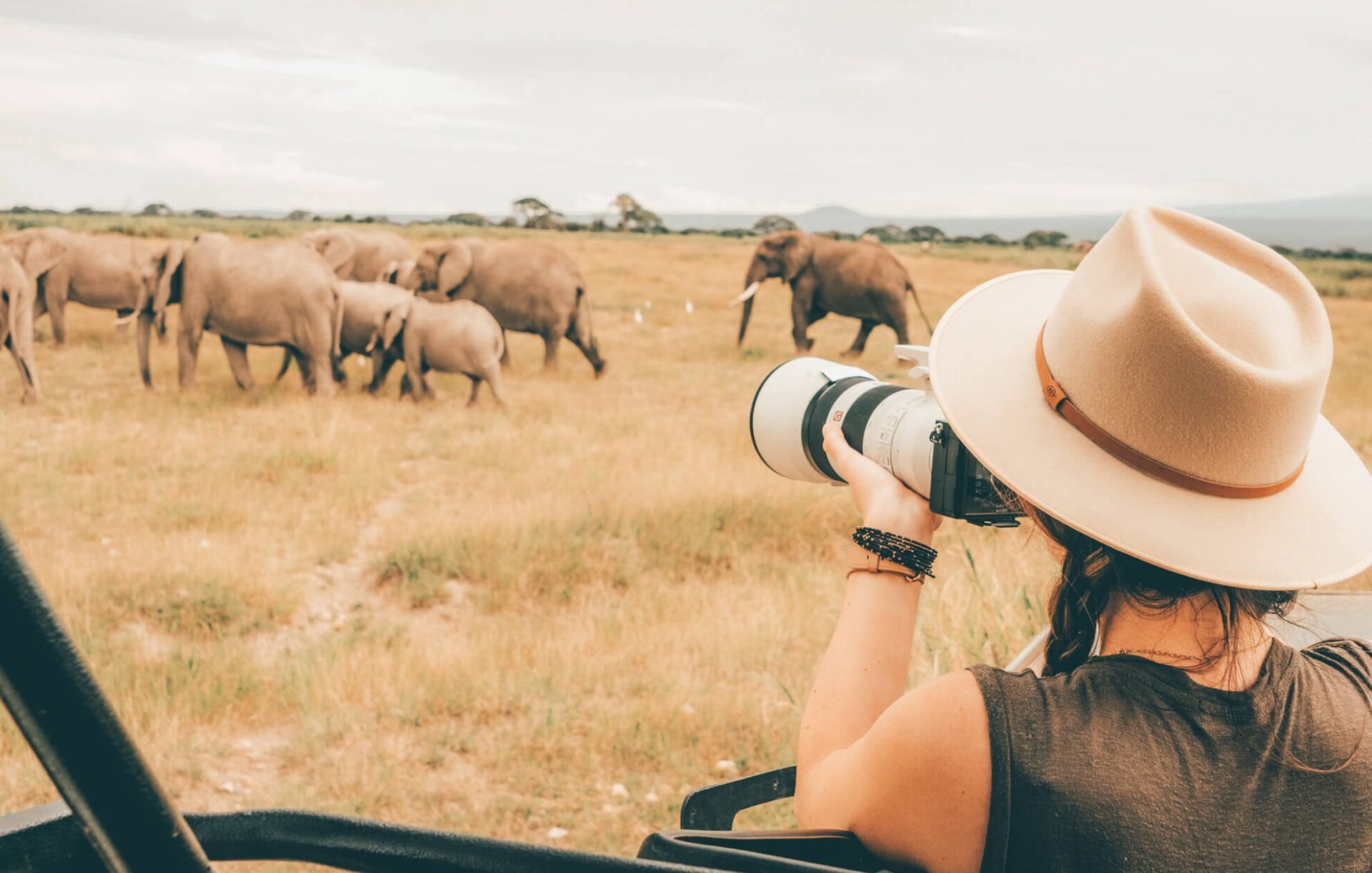 Preparing For A Safari Trip Is Crucial For A Successful Trip