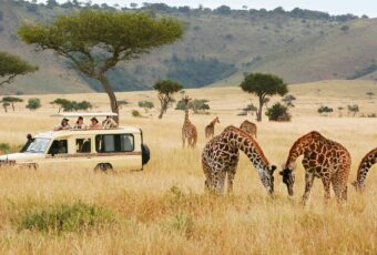 Safari Trip