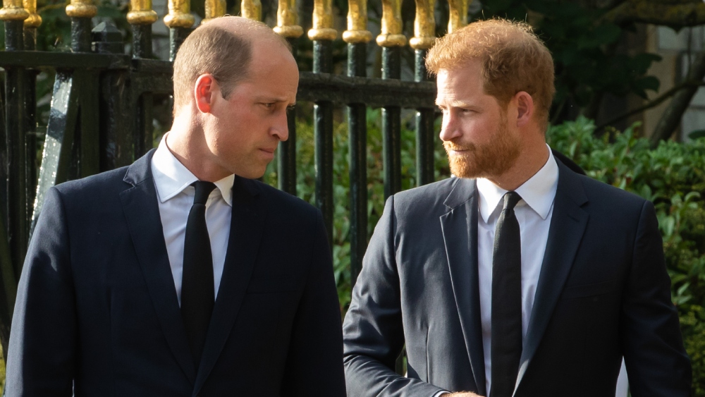 Tension Between Brothers (Mark Kerrison:In Pictures Via Getty Images)