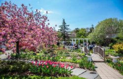 Explore The Queens Botanical Garden