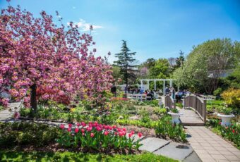 Explore The Queens Botanical Garden
