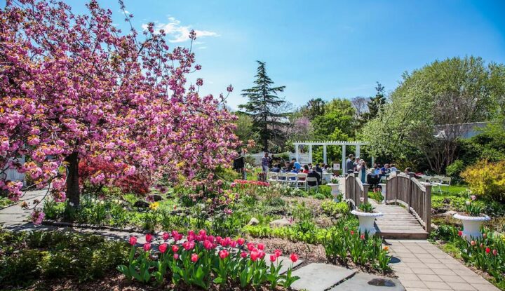 Explore The Queens Botanical Garden